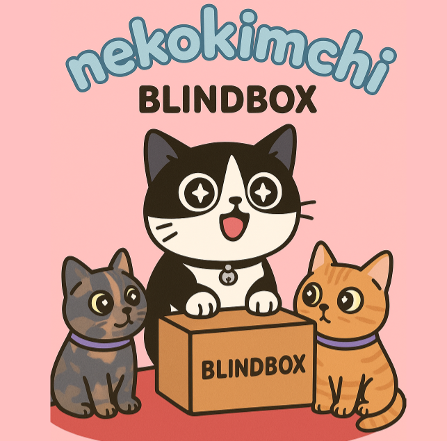 BLIND BOX